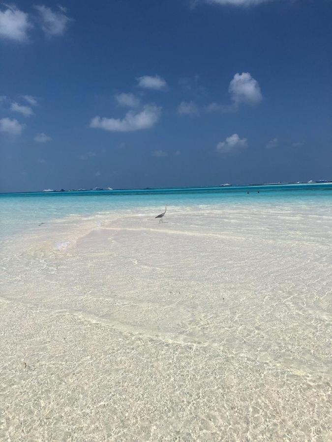 Portia Hotel & Spa Dhiffushi Dış mekan fotoğraf