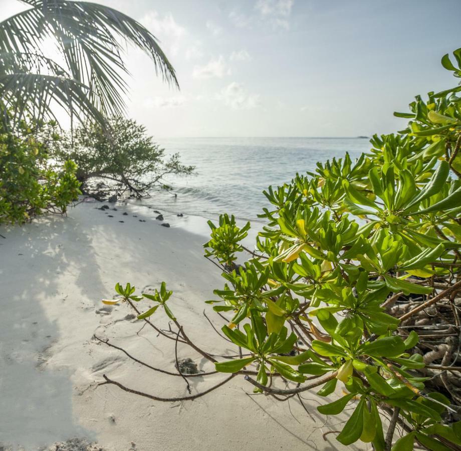 Portia Hotel & Spa Dhiffushi Dış mekan fotoğraf